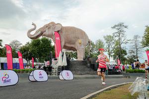 BIB: 
                            <button type="button" onclick="openModal(26528432)" class="btn btn-primary btn-sm float-right btn-popup" data-toggle="modal" data-target=".modal-high-quality">
                        <i class="fas fa-shopping-cart"></i> Add to Cart
                    </button>
                                            <button type="button" onclick="isThisMe(26528432, true)" class="btn btn-success btn-sm float-right btn-popup btn-isme hidden" data-toggle="tooltip" data-placement="bottom" title="นี่คือรูปของคุณใช่ไหม คลิกที่นี่เพื่อเอาเข้าอัลบั้ม">
                        <i class="fas fa-plus"></i> Add to album
                    </button>
                    <button type="button" onclick="isThisMe(26528432, false)" class="btn btn-warning btn-sm float-right btn-popup btn-isnotme hidden">
                        <i class="fas fa-ban"></i> Remove from album
                    </button>